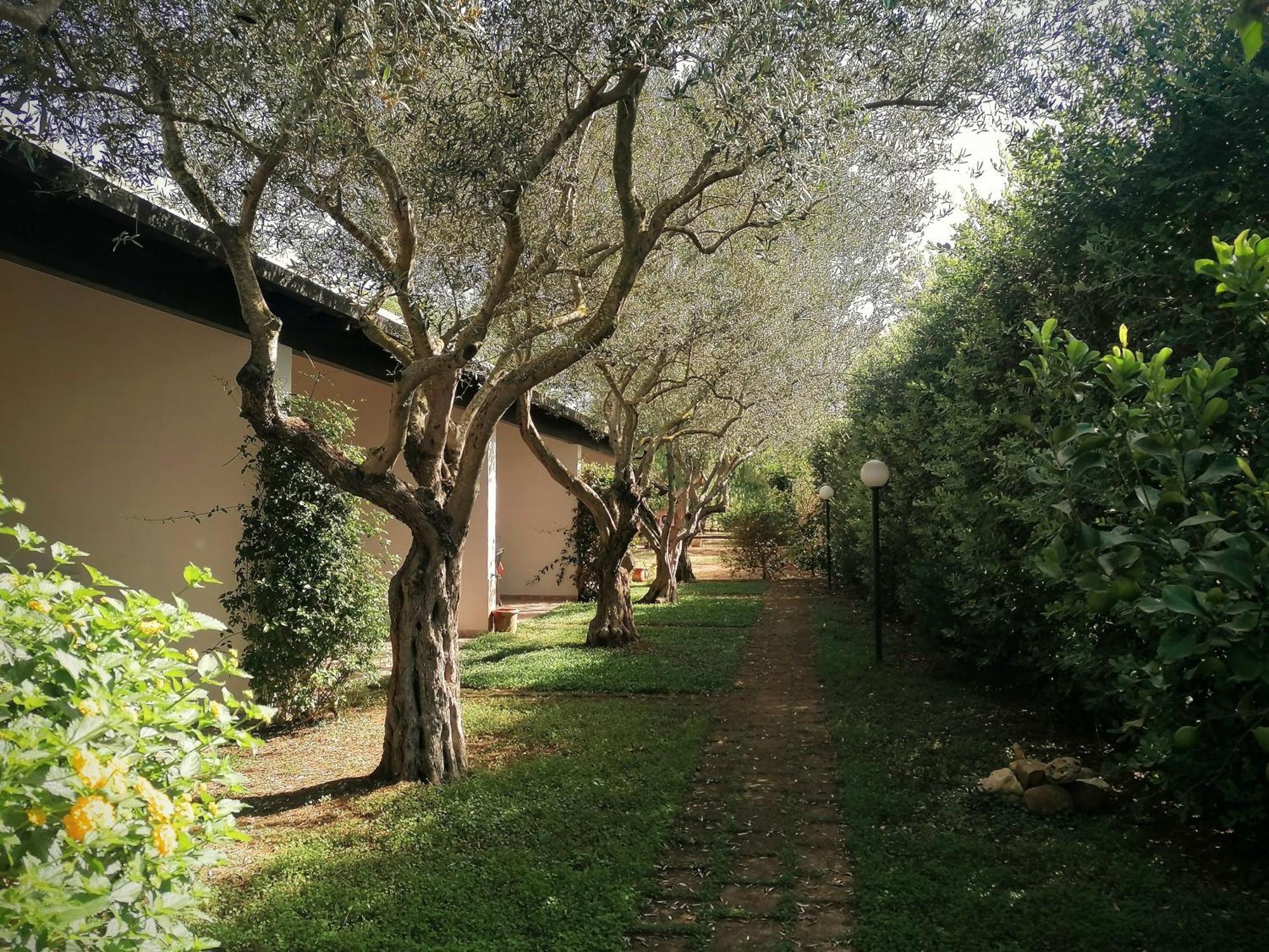 Lilybeo Village